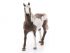 Фигурка Schleich Мерин Пейнтхорс Фигурка Schleich Мерин Пейнтхорс