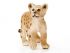 Фигурка Schleich Львенок Фигурка Schleich Львенок