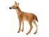 Фигурка Schleich Белохвостый олень-самка Фигурка Schleich Белохвостый олень-самка
