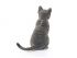 Фигурка Schleich Кошка, сидит Фигурка Schleich Кошка, сидит