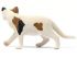 Фигурка Schleich Кошка, американская Фигурка Schleich Кошка, американская
