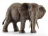 Фигурка Schleich Африканский слон, самка Фигурка Schleich Африканский слон, самка