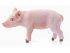 Фигурка Schleich Поросенок, стоит
