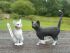 Фигурка Schleich Кошка, стоит