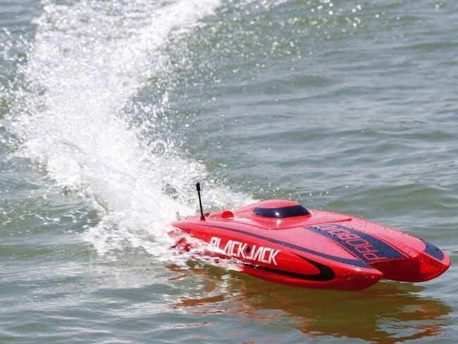 Радиоуправляемый катамаран ProBoat Blackjack 24 Brushless RTR Радиоуправляемый катамаран ProBoat Blackjack 24 Brushless RTR
