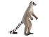 Фигурка KONIK Кошачий лемур Фигурка KONIK Кошачий лемур