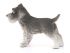 Фигурка Schleich Цвергшнауцер Фигурка Schleich Цвергшнауцер
