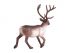 Фигурка KONIK Северный олень Фигурка KONIK Северный олень