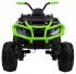 Детский квадроцикл Grizzly Next Green/Black 4WD с пультом управления 2.4G - BDM0909