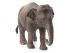 Фигурка Schleich Азиатский слон, самка Фигурка Schleich Азиатский слон, самка