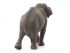 Фигурка Schleich Азиатский слон, самка Фигурка Schleich Азиатский слон, самка