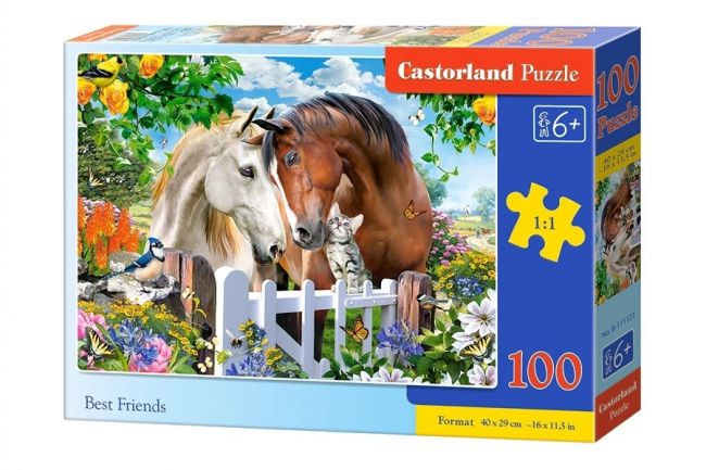 Puzzle-100 "Лучшие друзья" Puzzle-100 "Лучшие друзья"