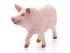 Фигурка Schleich Свинья Фигурка Schleich Свинья