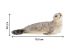 Фигурки игрушки MASAI MARA ММ203-014 серии "Мир морских животных"5 пр. Фигурки игрушки MASAI MARA ММ203-014 серии "Мир морских животных"5 пр.