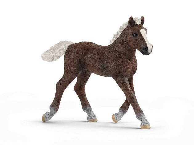 Фигурка Schleich Шварцвальдский жеребенок Фигурка Schleich Шварцвальдский жеребенок