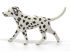 Фигурка Schleich Далматин щенок 16838