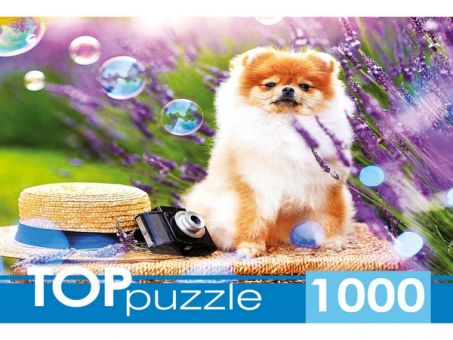 TOPpuzzle. ПАЗЛЫ 1000 элементов. Шпиц в саду. TOPpuzzle. ПАЗЛЫ 1000 элементов. Шпиц в саду.