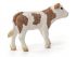 Фигурка Schleich Симментальский теленок