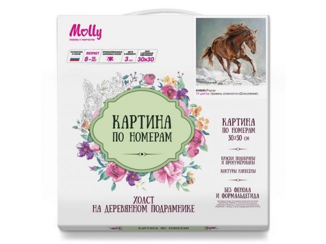 Картина по номерам 30х30 Рысак (17 цветов)